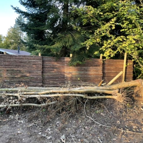 Tømrer udfører tømrerarbejde med opbygning af naturhegn i træ